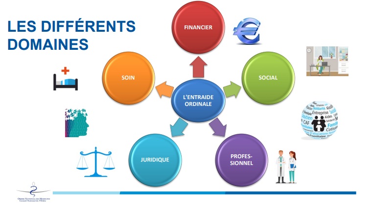 LES DIFFÉRENTS DOMAINES